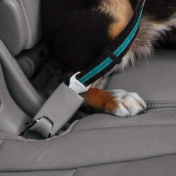 Attache Directe Pour Ceinture De Sécurité (Direct To SeatBelt Tether) -Animalin Boutique attache directe pour ceinture de securite direct to seatbelt tether 3