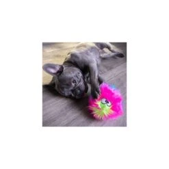 Balle Peluche Arc-en-Ciel (goDog Furballz Rainbow) -Animalin Boutique balle peluche arc en ciel godog furballz rainbow 3