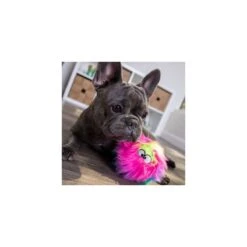 Balle Peluche Arc-en-Ciel (goDog Furballz Rainbow) -Animalin Boutique balle peluche arc en ciel godog furballz rainbow 4