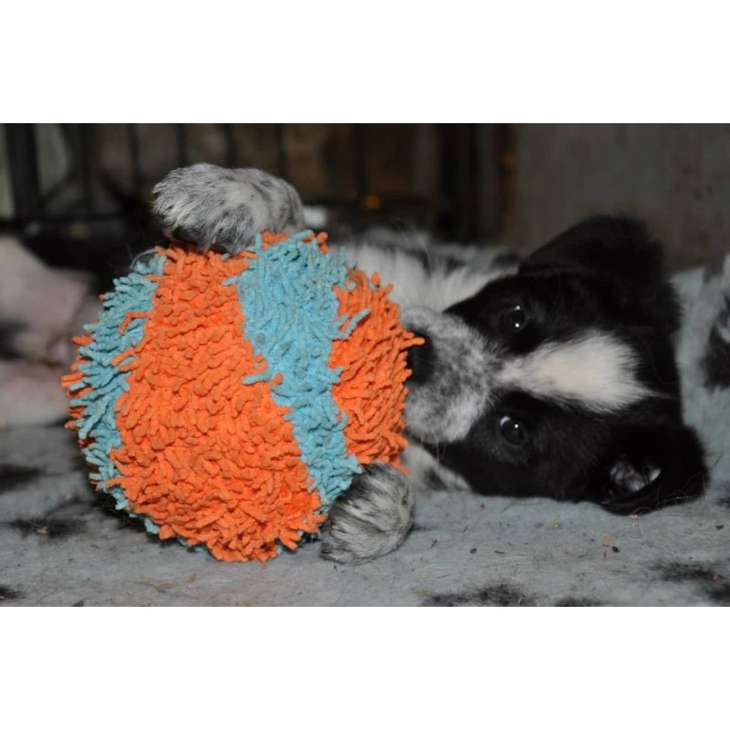 Balle Soft (Chuckit! Indoor Ball) 4 Balle Soft (Chuckit! Indoor Ball) – Image 2