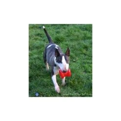 Borne Incendie (Fire Plug) -Animalin Boutique borne incendie 3