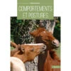Comportements Et Postures – Hélène Roche (112 Pages) -Animalin Boutique comportements et postures helene roche 112 pages