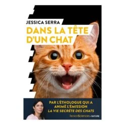 Dans La Tête D’un Chat