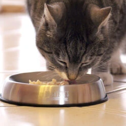 Promo -25% Dr Catsby (Gamelle En Acier Inoxydable Pour Chat) 9 Promo -25% Dr Catsby (Gamelle En Acier Inoxydable Pour Chat) -Animalin Boutique dr catsby gamelle en acier inoxydable pour chat 2
