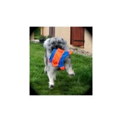 Ecureuil Volant Chuckit! (Flying Squirrel) 13 Ecureuil Volant Chuckit! (Flying Squirrel) -Animalin Boutique ecureuil volant flying squirrel 5