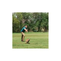 Frisbee Sifflant (Chuckit! Whistle Flight) 13 Frisbee Sifflant (Chuckit! Whistle Flight) -Animalin Boutique frisbee sifflant chuckit whistle flight 5