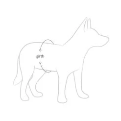 Gilet De Sauvetage Et De Flottaison EzyDog Micro DFD Pour Petits Chiens (2 Tailles) 11 Gilet De Sauvetage Et De Flottaison EzyDog Micro DFD Pour Petits Chiens (2 Tailles) -Animalin Boutique gilet de sauvetage et de flottaison ezydog micro dfd pour petits chiens 2 tailles 4