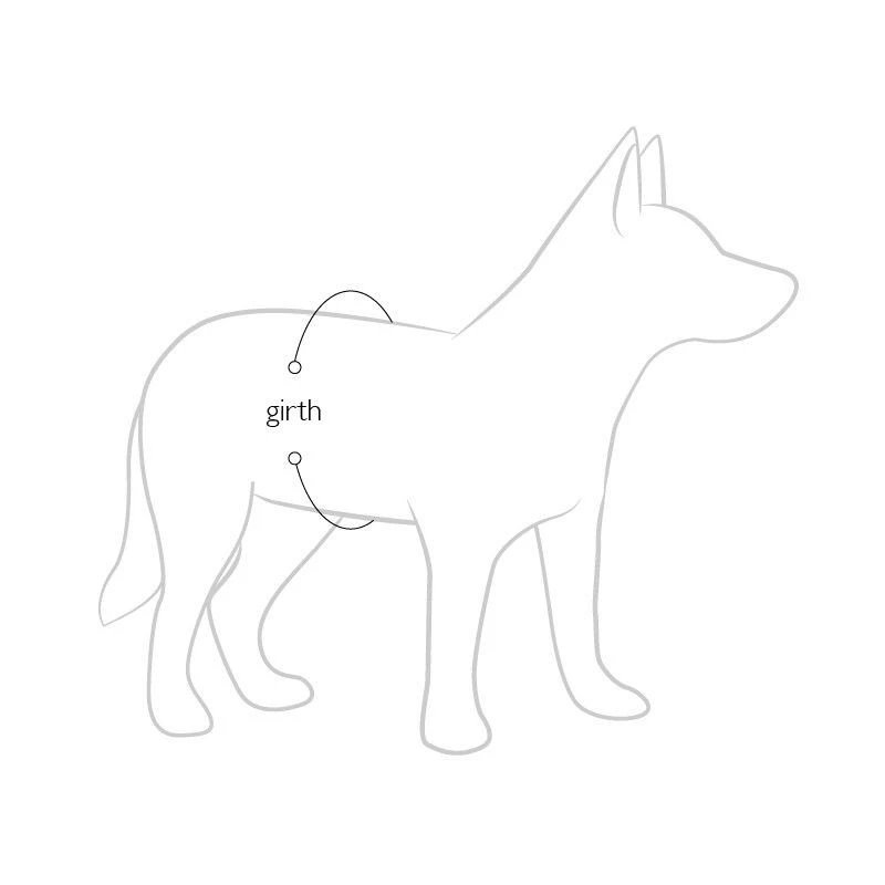 Gilet De Sauvetage Et De Flottaison EzyDog Micro DFD Pour Petits Chiens (2 Tailles) 7 Gilet De Sauvetage Et De Flottaison EzyDog Micro DFD Pour Petits Chiens (2 Tailles) – Image 5