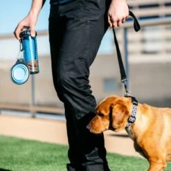 Gourde Snack-Duo + Bol Pliable (3 Coloris) 6 Gourde Snack-Duo + Bol Pliable (3 Coloris) -Animalin Boutique gourde snack duo bol pliable 3 coloris 1