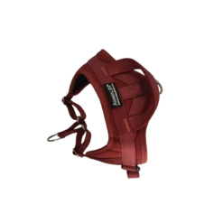 Harnais Animalin® AUTOMNE – Bordeaux (6 Tailles) -Animalin Boutique harnais animalin automne bordeaux 6 tailles 2