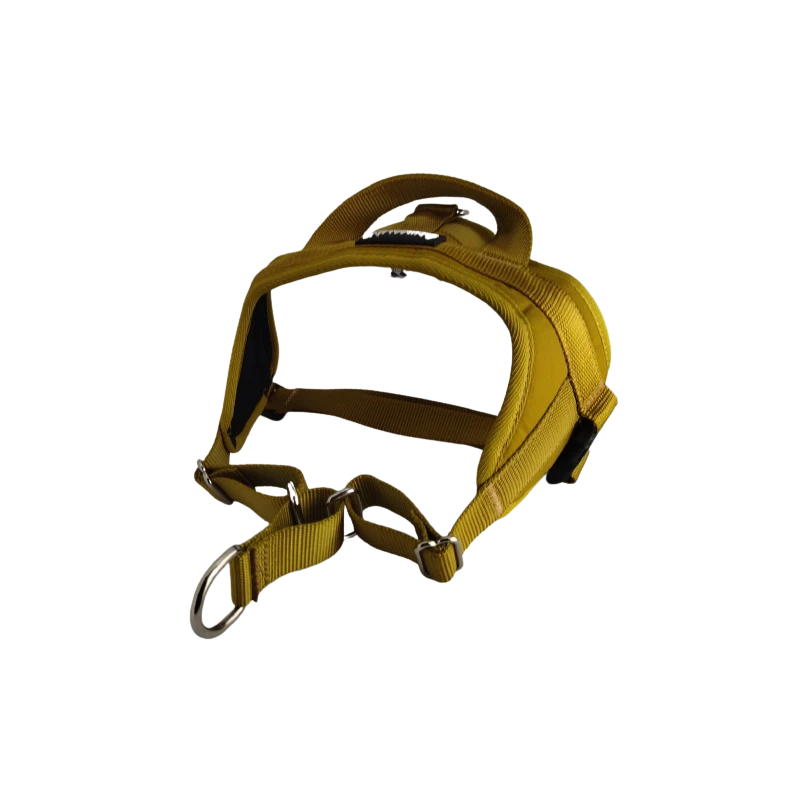 Harnais Animalin® AUTOMNE – Ocre Jaune (6 Tailles) 5 Harnais Animalin® AUTOMNE – Ocre Jaune (6 Tailles) – Image 3