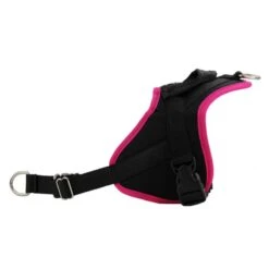 Harnais Animalin® CLASSIC Fuchsia 7 Tailles