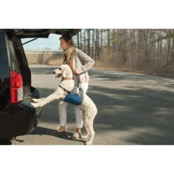 Harnais De Levage (Kurgo Up&About Lifter) 15 Harnais De Levage (Kurgo Up&About Lifter) -Animalin Boutique harnais de levage kurgo upabout lifter 3