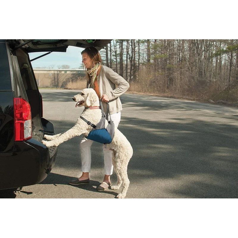 Harnais De Levage (Kurgo Up&About Lifter) 6 Harnais De Levage (Kurgo Up&About Lifter) – Image 4