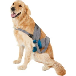 Harnais De Levage (Kurgo Up&About Lifter) 18 Harnais De Levage (Kurgo Up&About Lifter) -Animalin Boutique harnais de levage kurgo upabout lifter 6