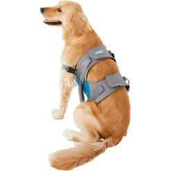 Harnais De Levage (Kurgo Up&About Lifter) 19 Harnais De Levage (Kurgo Up&About Lifter) -Animalin Boutique harnais de levage kurgo upabout lifter 7