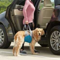 Harnais De Levage (Kurgo Up&About Lifter) 20 Harnais De Levage (Kurgo Up&About Lifter) -Animalin Boutique harnais de levage kurgo upabout lifter 8