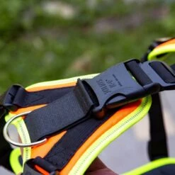 Promo -10% Harnais De Pistage Et Mantrailing Julius-K9® - Noir (4 Tailles) -Animalin Boutique harnais de pistage et mantrailing julius k9 3