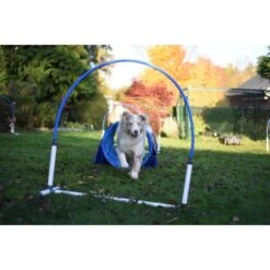 Hooper Agility Run -Animalin Boutique hooper agility run 3