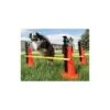 Promo -10% Jeu De Haies (FitPAWS® Hurdle Set)