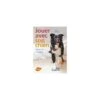 Jouer Avec Son Chien Dans La Maison - Anja Jakob - 96 Pages 2 Jouer Avec Son Chien Dans La Maison - Anja Jakob - 96 Pages -Animalin Boutique jouer avec son chien dans la maison