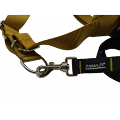 -5% Kit Harnais Automne Animalin® Ocre Jaune + Laisse Assortie 1m20 (6 Tailles) -Animalin Boutique kit harnais automne animalin ocre jaune laisse assortie 1m20 6 tailles 2