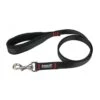 Laisse CLASSIC Animalin® L 150 Cm – 3 Larg./6 Coloris/3 Tailles De Mousqueton -Animalin Boutique laisse animalin 150 cm