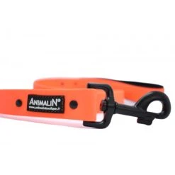 Laisse Animalin® Fluo 150 Cm – 2 Larg./2 Couleurs – Mousq. Noir -Animalin Boutique laisse animalin fluo 150 cm 2 larg2 coul mousq noir 2