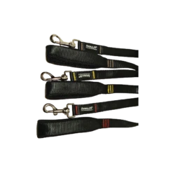 Laisse AUTOMNE Animalin® - L 120 Cm – 3 Larg./3 Coloris/3 Tailles De Mousqueton