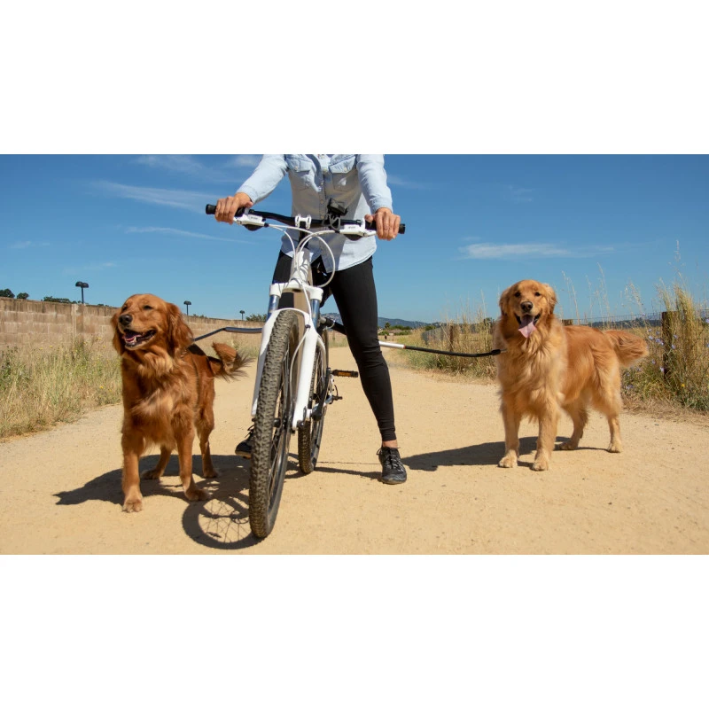 Laisse De Vélo Universelle Pour Chiens – Technologie Antichocs, Design, Sécurité (Shock-Less Bicycle Leash) 4 Laisse De Vélo Universelle Pour Chiens – Technologie Antichocs, Design, Sécurité (Shock-Less Bicycle Leash) – Image 2
