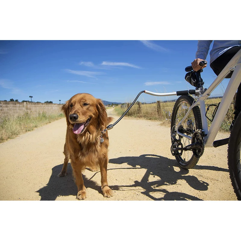 Laisse De Vélo Universelle Pour Chiens – Technologie Antichocs, Design, Sécurité (Shock-Less Bicycle Leash) 8 Laisse De Vélo Universelle Pour Chiens – Technologie Antichocs, Design, Sécurité (Shock-Less Bicycle Leash) – Image 6