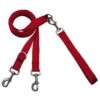 Laisse Européenne 2 Points (Euro Leash) -Animalin Boutique laisse europeenne 2 points euro leash