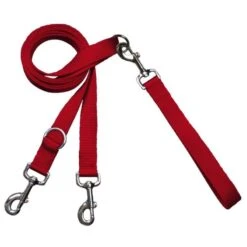 Laisse Européenne 2 Points (Euro Leash)