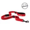 Laisse EzyDog 115 Cm “Zero Shock” -Animalin Boutique laisse ezydog 115 cm zero shock