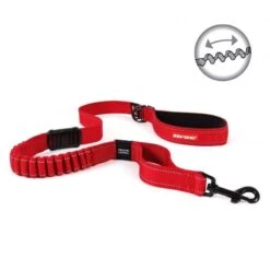 Laisse EzyDog 115 Cm “Zero Shock”