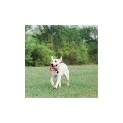 Lanceur D’anneau (Chuckit! Ring Chaser) -Animalin Boutique lanceur danneau chuckit ring chaser 3