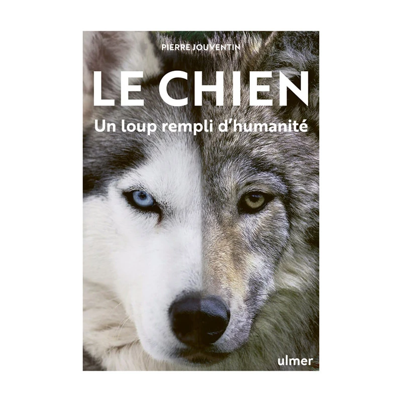 Le Chien Un Loup Rempli D’humanité – Pierre Jouventin 3 Le Chien Un Loup Rempli D’humanité – Pierre Jouventin