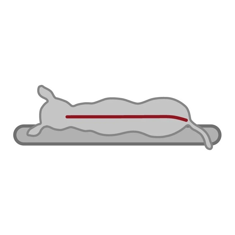 -10% Lit Vitalité à Mémoire De Forme - 3 Tailles 9 -10% Lit Vitalité à Mémoire De Forme - 3 Tailles – Image 7