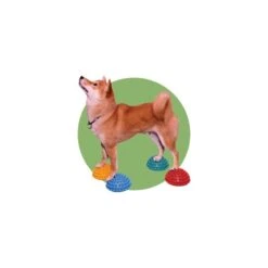 Lot De 4 Plots Antidérapants (FitPAWS﻿® Skid Proof Paw Pods) -Animalin Boutique lot de 4 plots antiderapants fitpaws skid proof paw pods 3