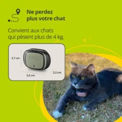 New Packaging — Kippy Evo (Localisateur GPS Avec écran D‘activités Pour Chiens Et Chats) -Animalin Boutique new packaging kippy evo localisateur gps avec ecran dactivites pour chiens et chats 5