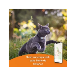 Traceur GPS Weenect Pour Chats -Animalin Boutique offre speciale traceur gps weenect pour chats 2