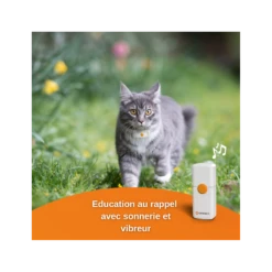 Traceur GPS Weenect Pour Chats -Animalin Boutique offre speciale traceur gps weenect pour chats 3