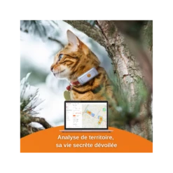 Traceur GPS Weenect Pour Chats -Animalin Boutique offre speciale traceur gps weenect pour chats 4