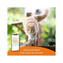 Traceur GPS Weenect Pour Chats -Animalin Boutique offre speciale traceur gps weenect pour chats 5