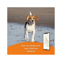 Traceur GPS Weenect Pour Chiens 11 Traceur GPS Weenect Pour Chiens -Animalin Boutique offre speciale traceur gps weenect pour chiens et chats 2