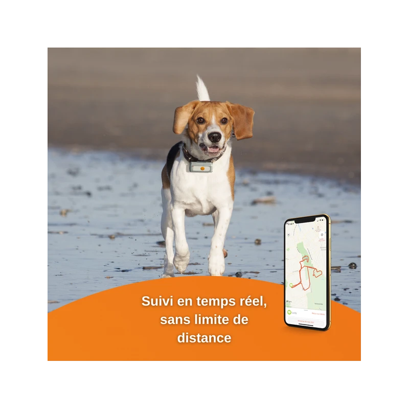 Traceur GPS Weenect Pour Chiens 5 Traceur GPS Weenect Pour Chiens – Image 3