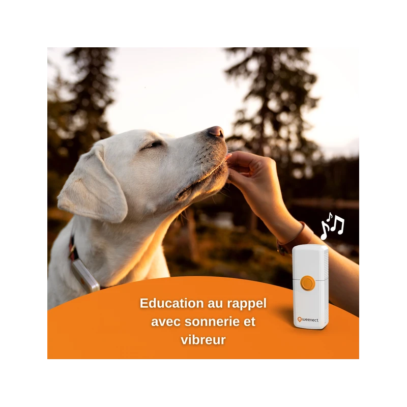 Traceur GPS Weenect Pour Chiens 6 Traceur GPS Weenect Pour Chiens – Image 4