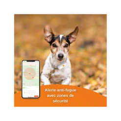 Traceur GPS Weenect Pour Chiens 13 Traceur GPS Weenect Pour Chiens -Animalin Boutique offre speciale traceur gps weenect pour chiens et chats 4
