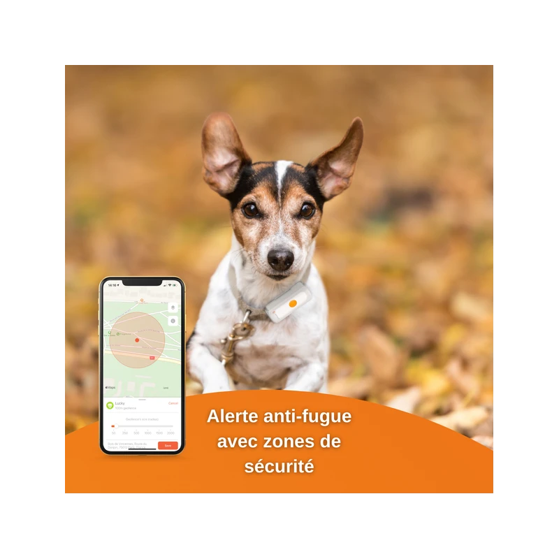 Traceur GPS Weenect Pour Chiens 7 Traceur GPS Weenect Pour Chiens – Image 5