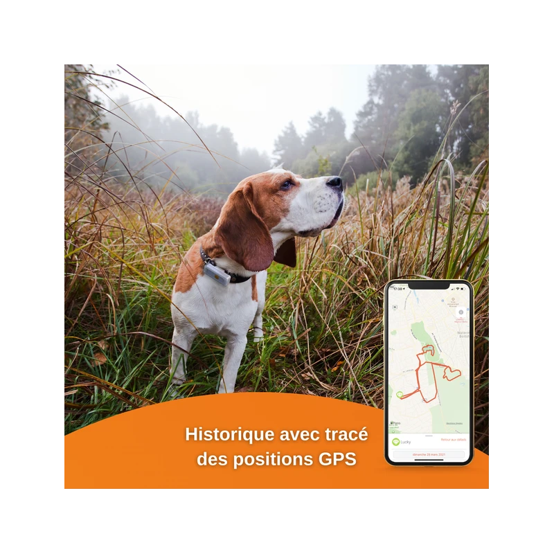 Traceur GPS Weenect Pour Chiens 9 Traceur GPS Weenect Pour Chiens – Image 7